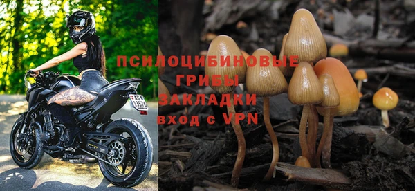 ПСИЛОЦИБИНОВЫЕ ГРИБЫ Алзамай