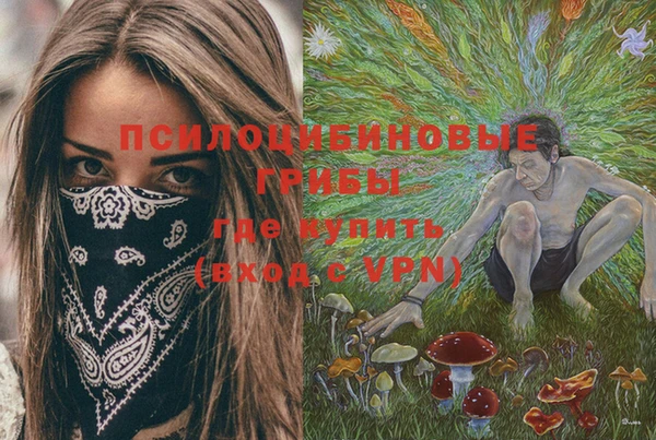 ПСИЛОЦИБИНОВЫЕ ГРИБЫ Алзамай