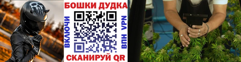 Конопля OG Kush  купить  цена  Осинники 